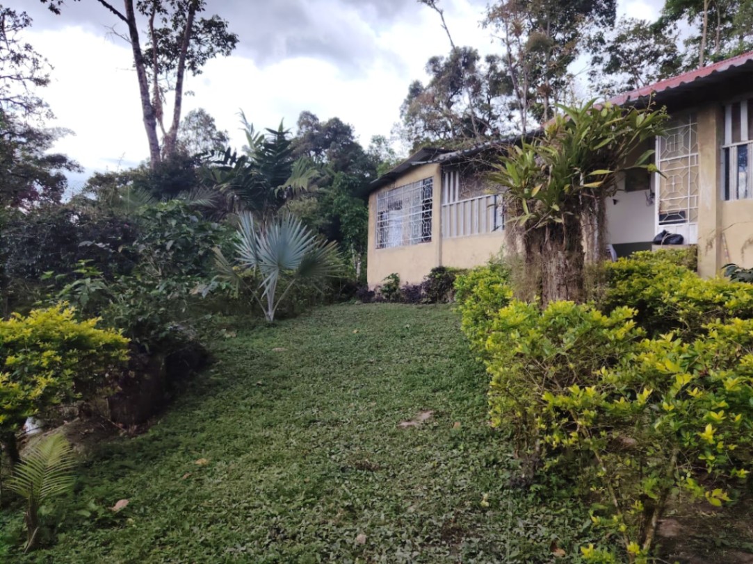 Viotá, Cundinamarca, Colombia 4